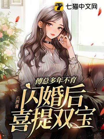 傅总裁的