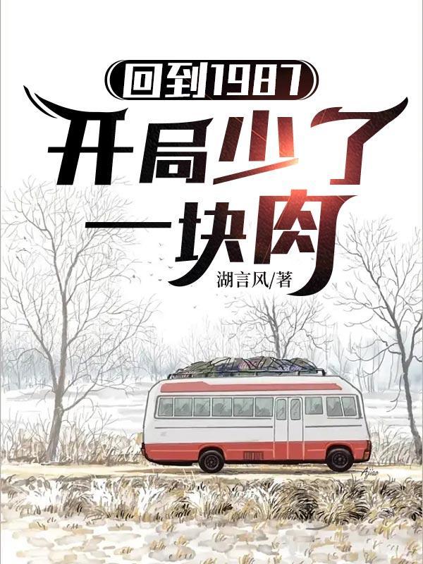 回到1987开局少了一块肉 湖言风