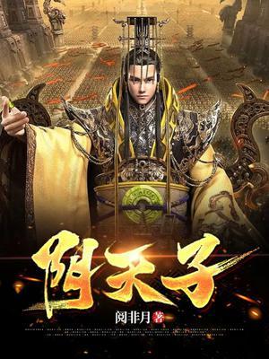 阴天子系统