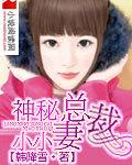 神秘总裁小小妻乔司年