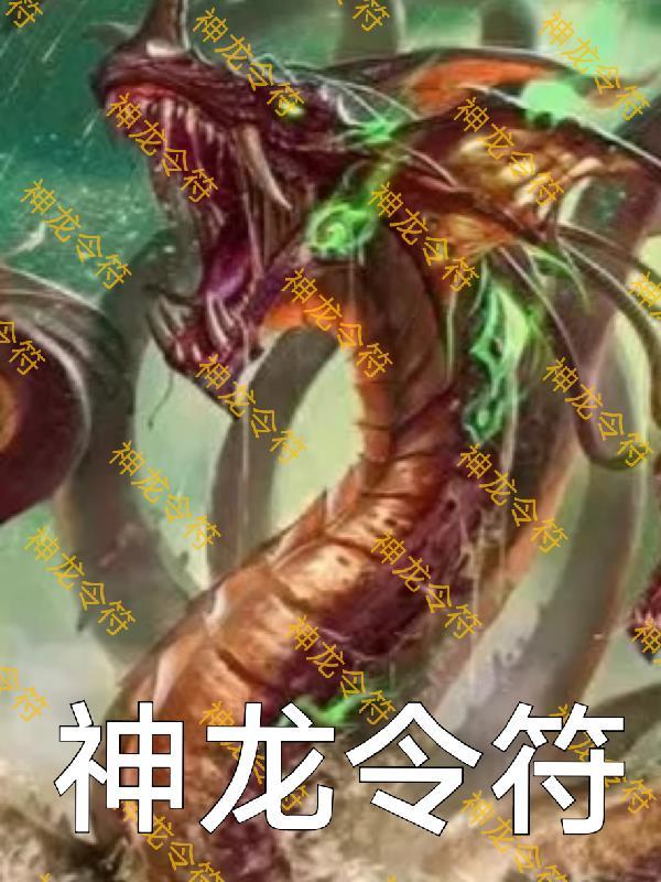 神龙令是什么武器