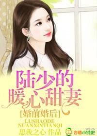 由原著陆少的新婚暖妻