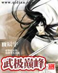 武极巅峰一般形容什么