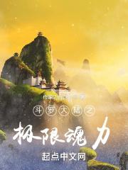 斗罗大陆之极限魂力西莹政府总统
