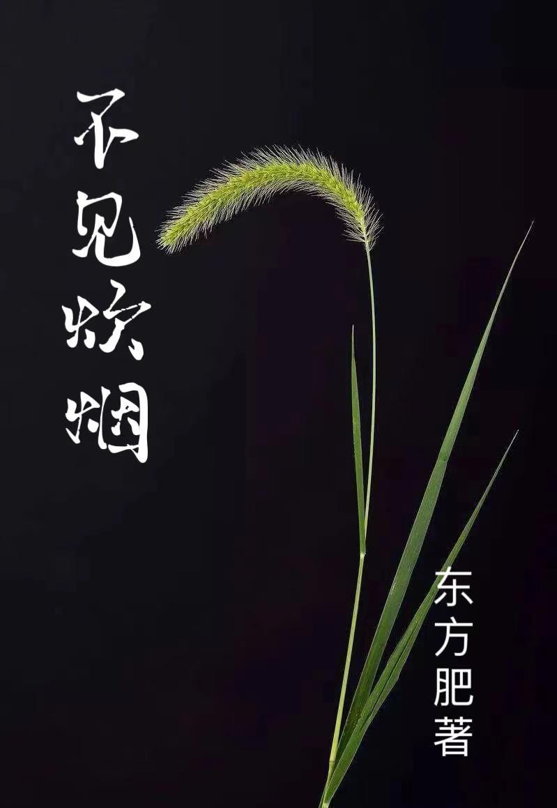 不见炊烟见房全诗原文
