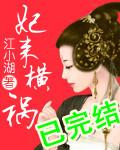 妃来横祸江小湖txt百度