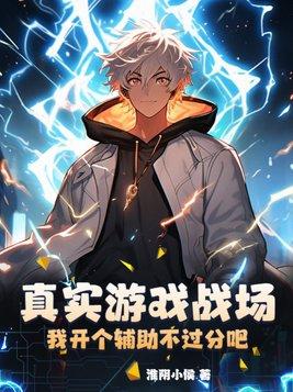 真实游戏战场我开个辅助不过分吧TXT