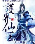护界将军神像图片大全