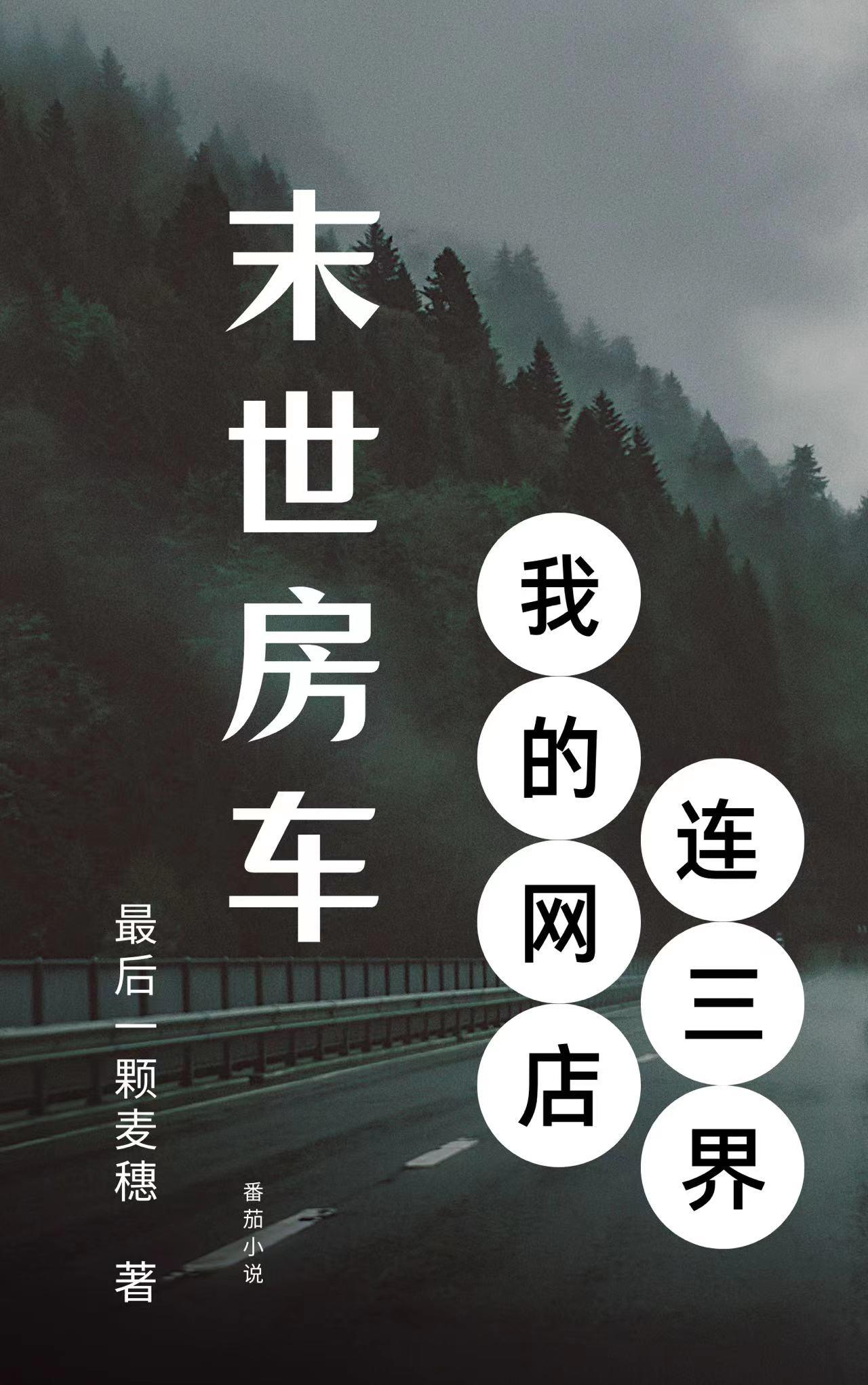 末世房车类型