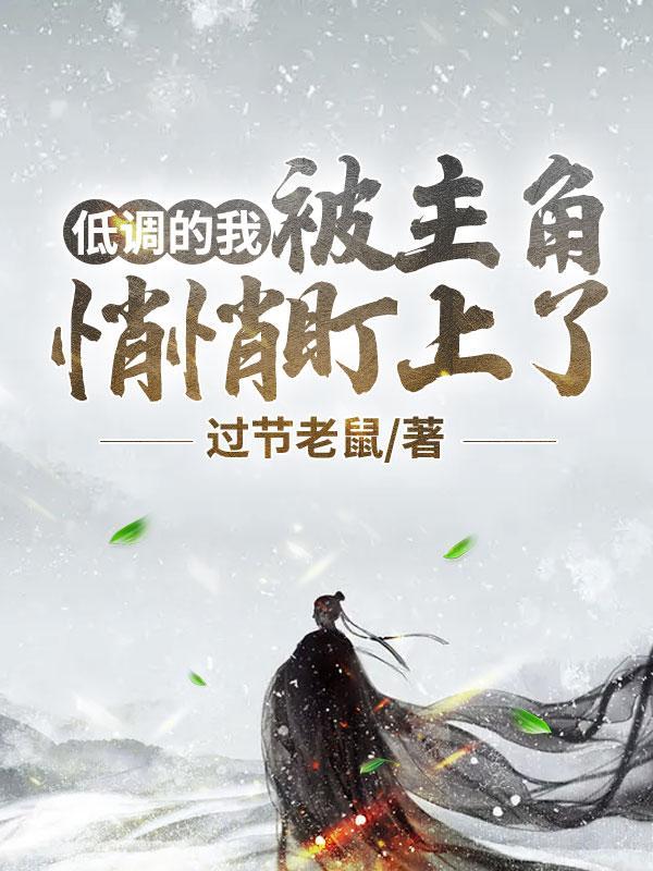 我的低调系统