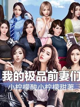 我的极品前妻们在线观看