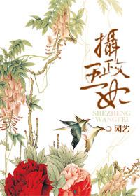 重生嫁给十九皇叔摄政王的