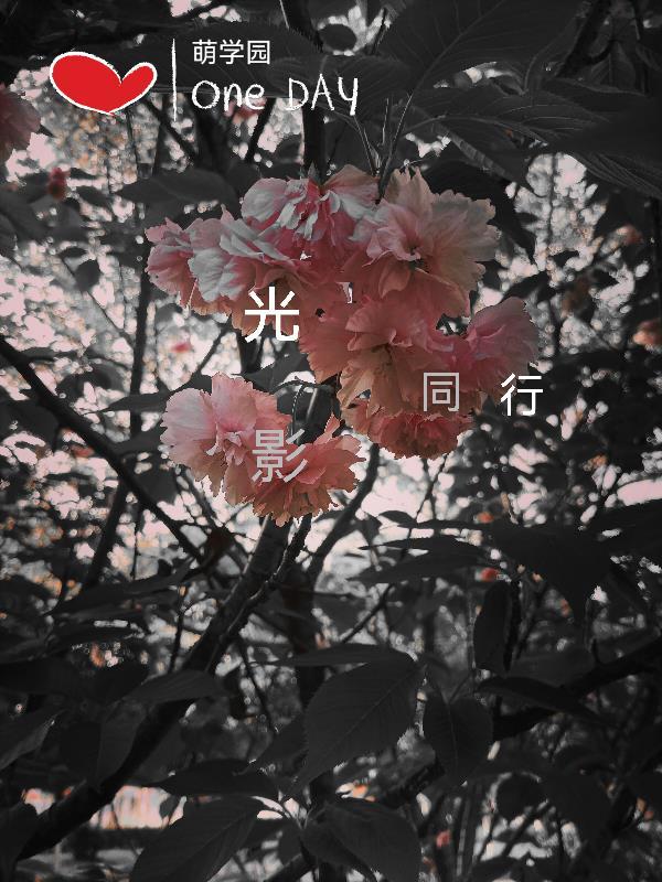 萌学园之微光