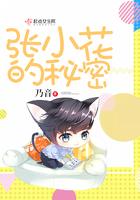张小花的新书