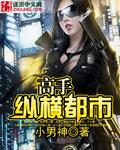高手在都市