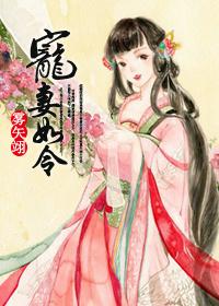 宠妻如令免费阅读无弹窗