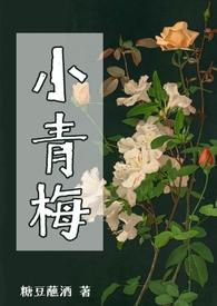 小青梅(np)作者糖豆蘸酒