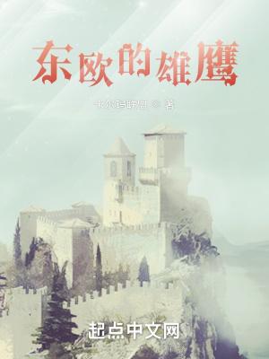 东欧的雄鹰全本免费阅读