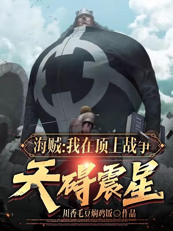海贼人在顶上