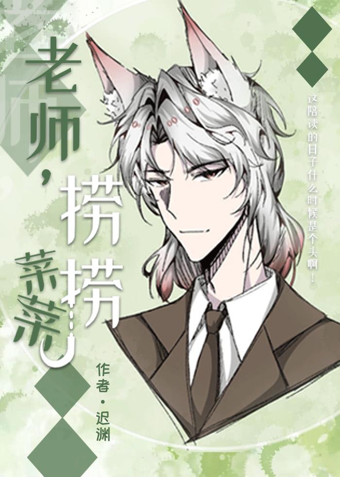 菜菜老师数学怎么样
