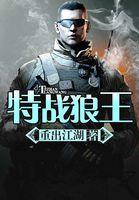 狼王特种兵的电视剧
