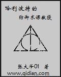 哈利波特之黑魔法防御术教授
