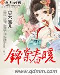 锦棠春 txt