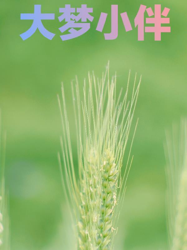 大梦主小归