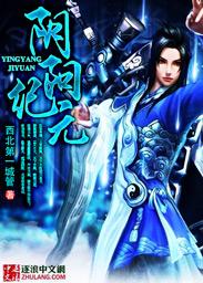 阴阳元石