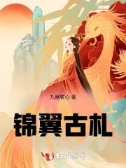 锦翼古札txt