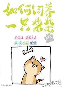 怎么养好一只柴犬