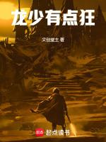 龙少免费
