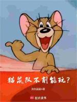 猫鼠游戏新角色