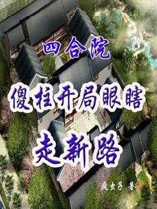 四合院开局傻柱就满级