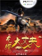 龙婿大丈夫第二部