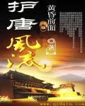 护唐风流TXT八零电子书