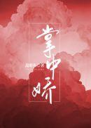掌中娇txt