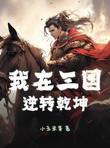 我在三国重振大汉免费阅读