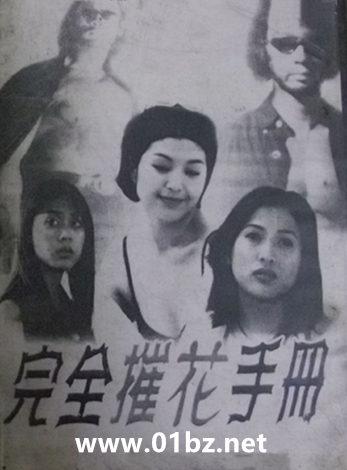 完全摧花手册外传安心