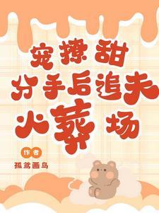 分手追妻