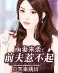 前妻萌宝斗前夫总裁
