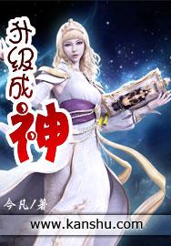 升级成神陈风