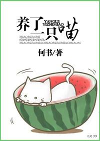 养了一只喵by何书百度