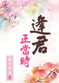 逢君正当时大结局正版