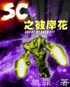 sc之彼岸