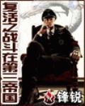 复活之战斗在第三帝国 内容介绍