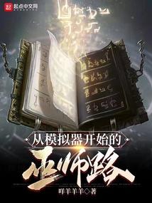 从模拟器开始的巫师路TXT百度