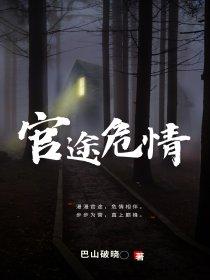 官途情路 大