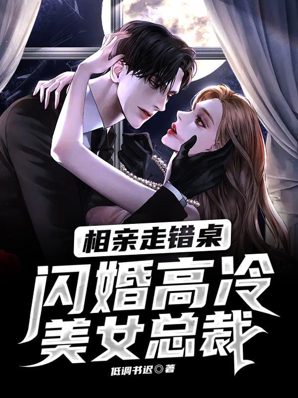 闪婚高冷美女总裁txt