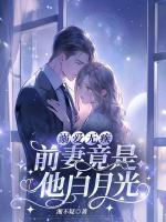 温旎叶南洲的结局